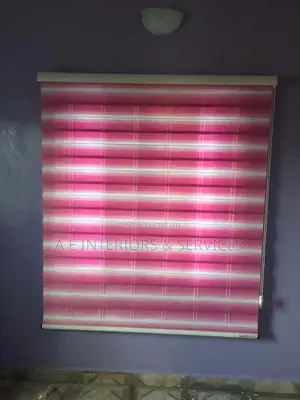 Exotic Interior Window Blinds