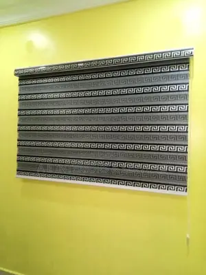 Exotic Interior Window Blinds