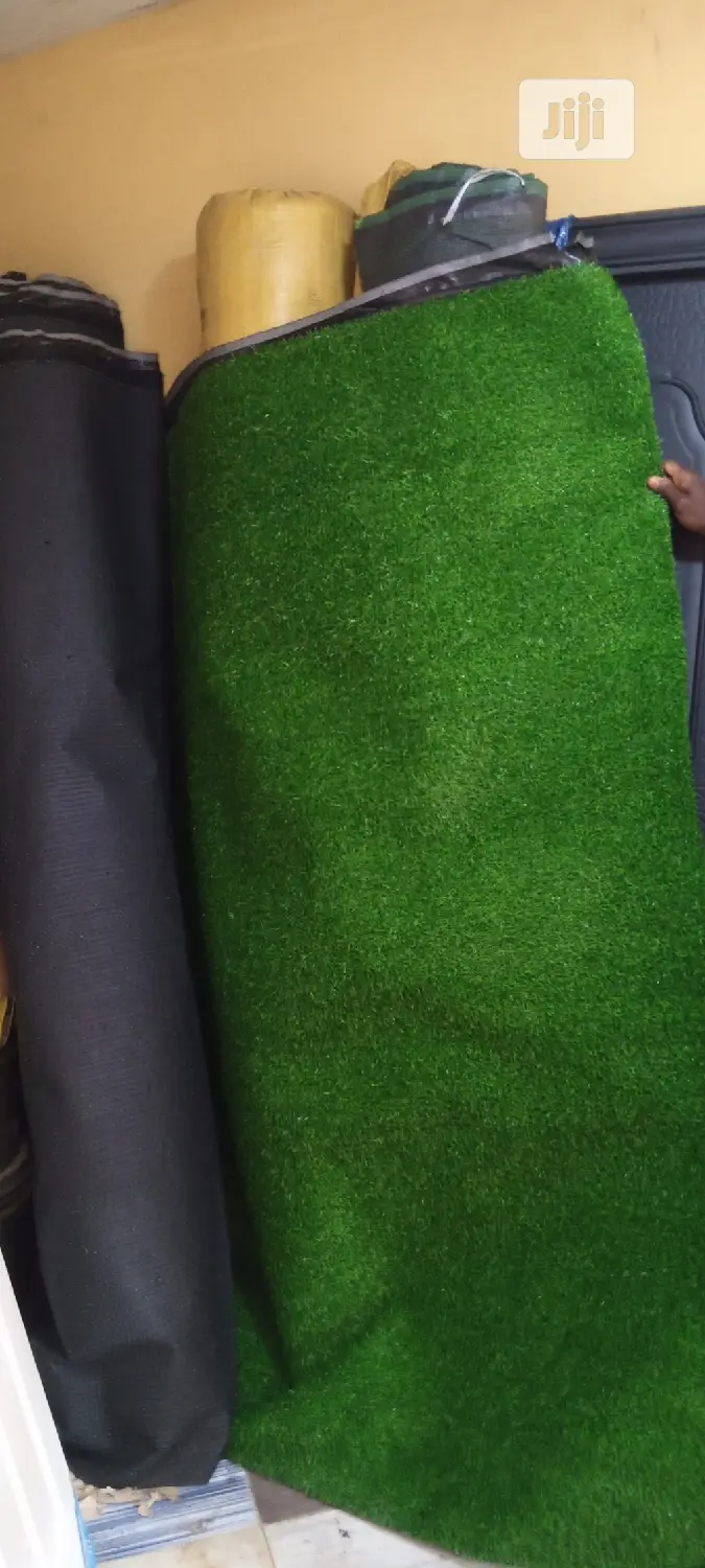 Carpet Grass