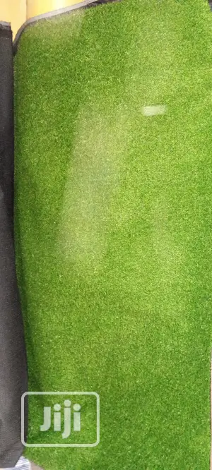 Carpet Grass