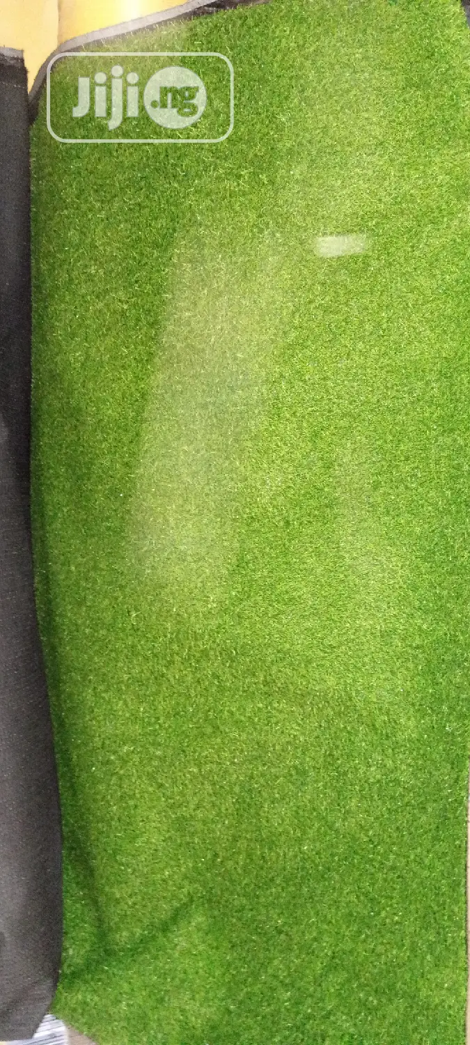 Carpet Grass