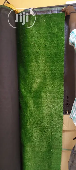 Carpet Grass