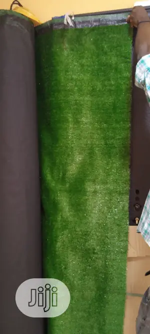 Carpet Grass