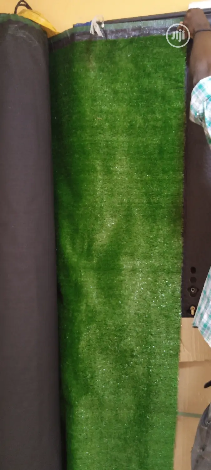 Carpet Grass