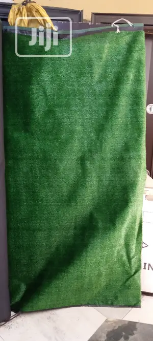 Carpet Grass
