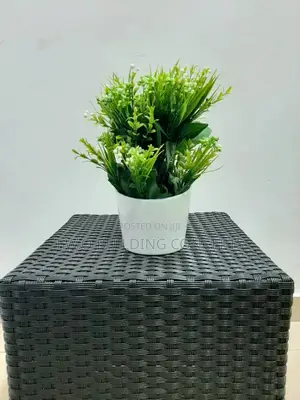 Classy Flowers