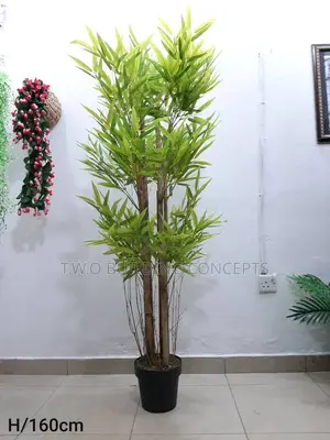 Classy Flowers