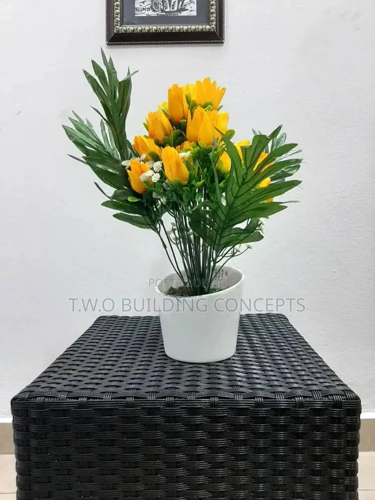 Classy Flowers