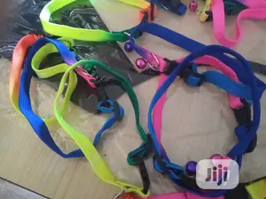 Rainbow Puppy Bell Collar