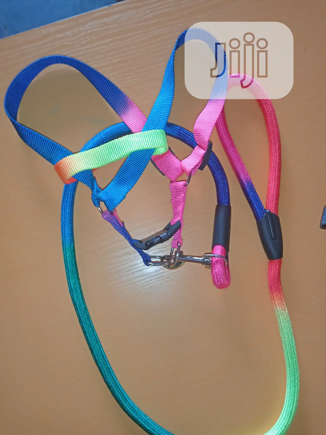 Rainbow Puppy Harness and Leash