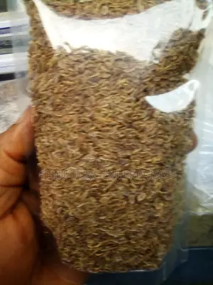 Photo - Dill Seeds - 100g