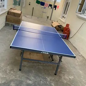 Indoor Table Tennis Board