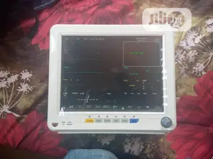 Portable Patient Monitor