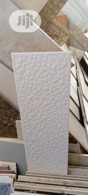 Wall Tiles 20*60