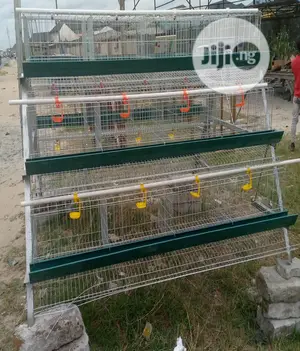 Imported Poultry Cages For 96 Birds