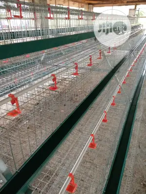 Imported Poultry Cages For 96 Birds