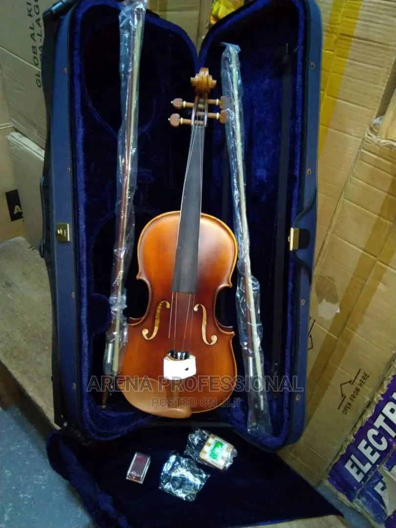 Dlack Professional Concert Violin