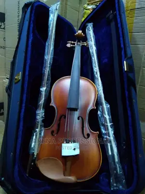 Photo - Dlack Professional Concert Violin