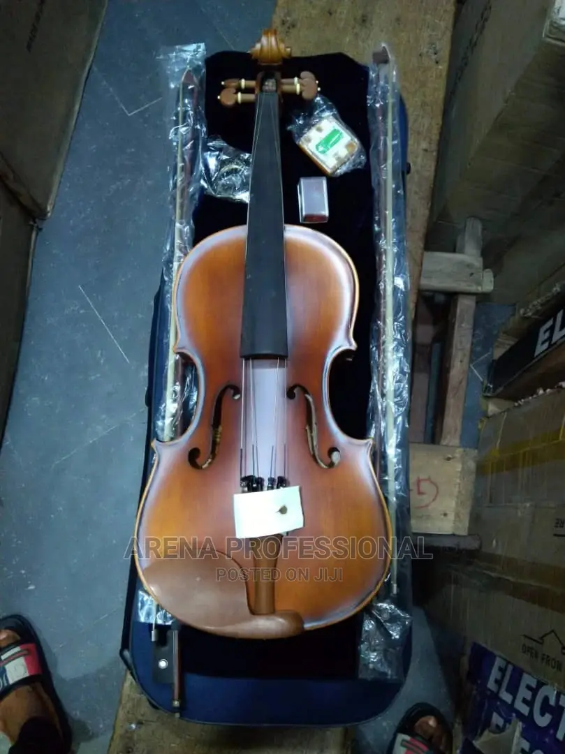 Dlack Professional Concert Violin