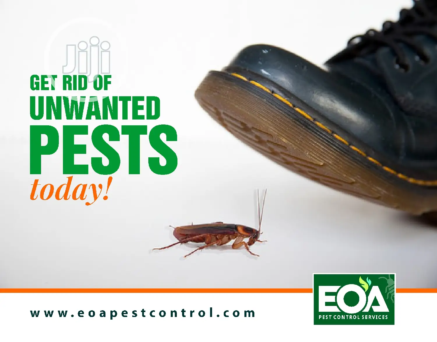 Odorless And Safe Fumigation Services