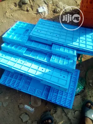 Egg Transfer Crates