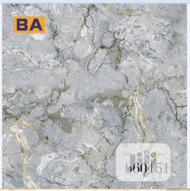 60*60 Nigeria Floor Tiles