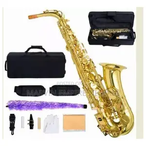 Professional Alto Saxophone