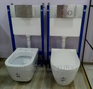 Suspended Conceal Water Closet