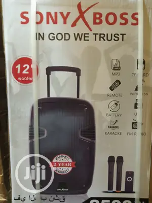 Quality Standard 12inches Pa System With 2wireless Mic, Bluetooth