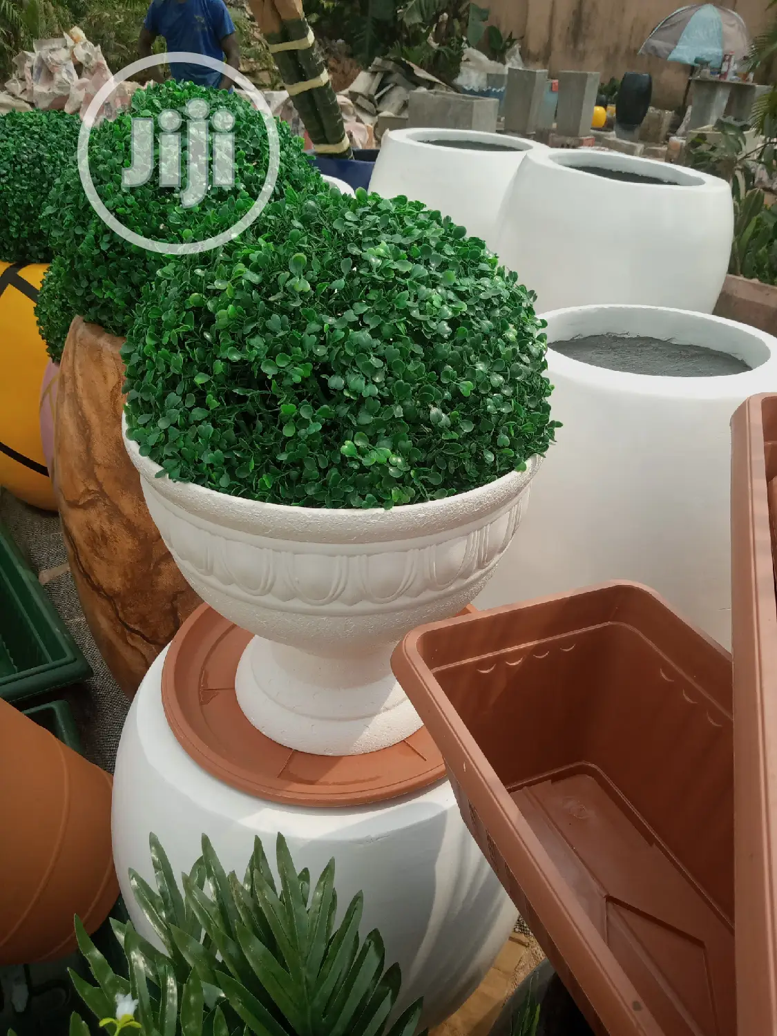 Flower And Flower Vase
