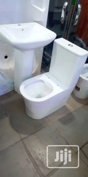 Executive Set of Wc With the Wash Hand Basin and Pedestal