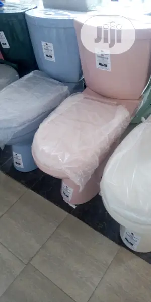 Coloured WC With the Wash Hand Basin and Pedestal