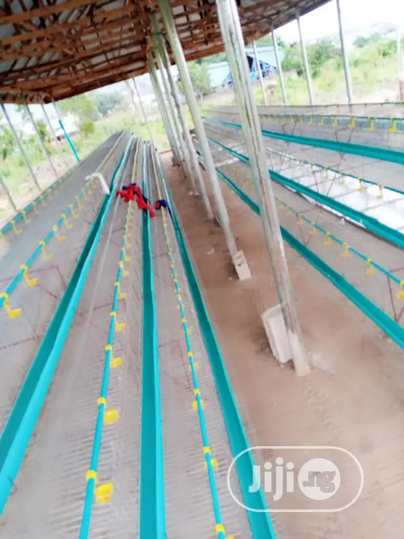 Battery Cage