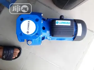 Lowara Water Pump