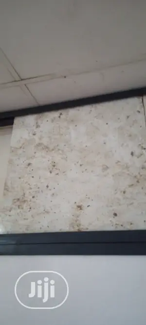 New High Quality India Marble