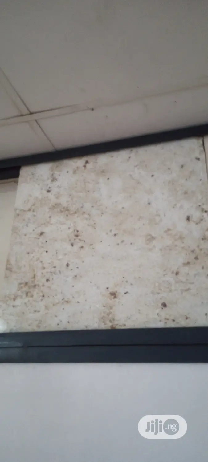 New High Quality India Marble