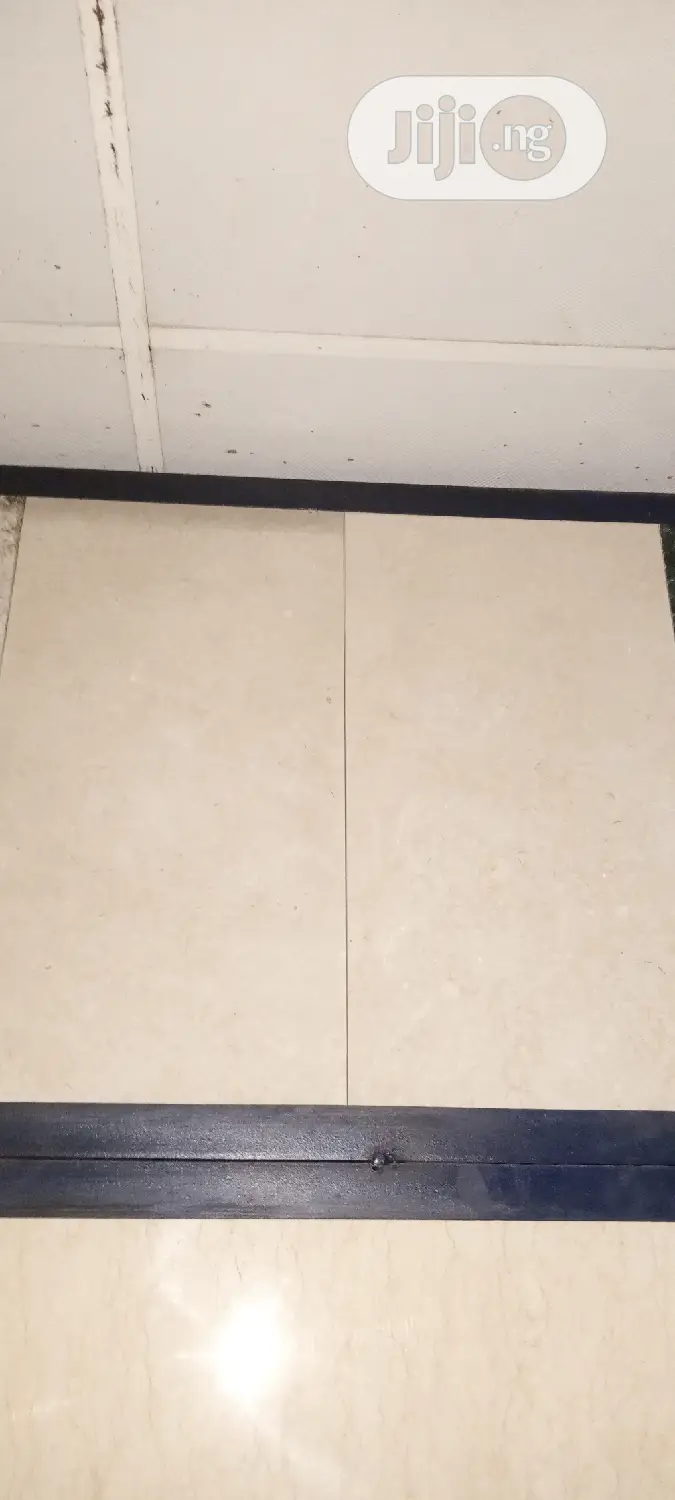 New High Quality India Marble