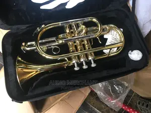 Professional Cornet