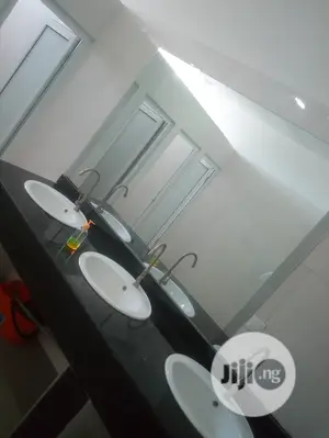 Mirror " Mirror
