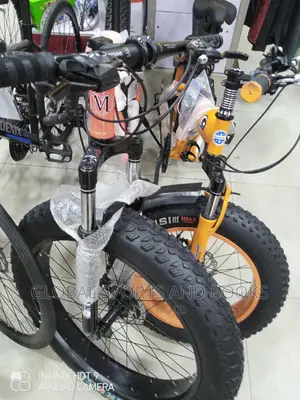 Giant Tyre Adult Bicycle For Adult And Children