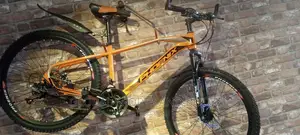 Phoenix Bicycle