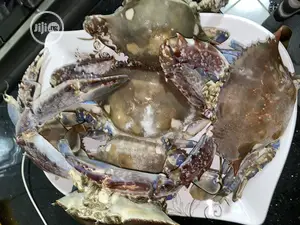 Fresh Sea Crabs