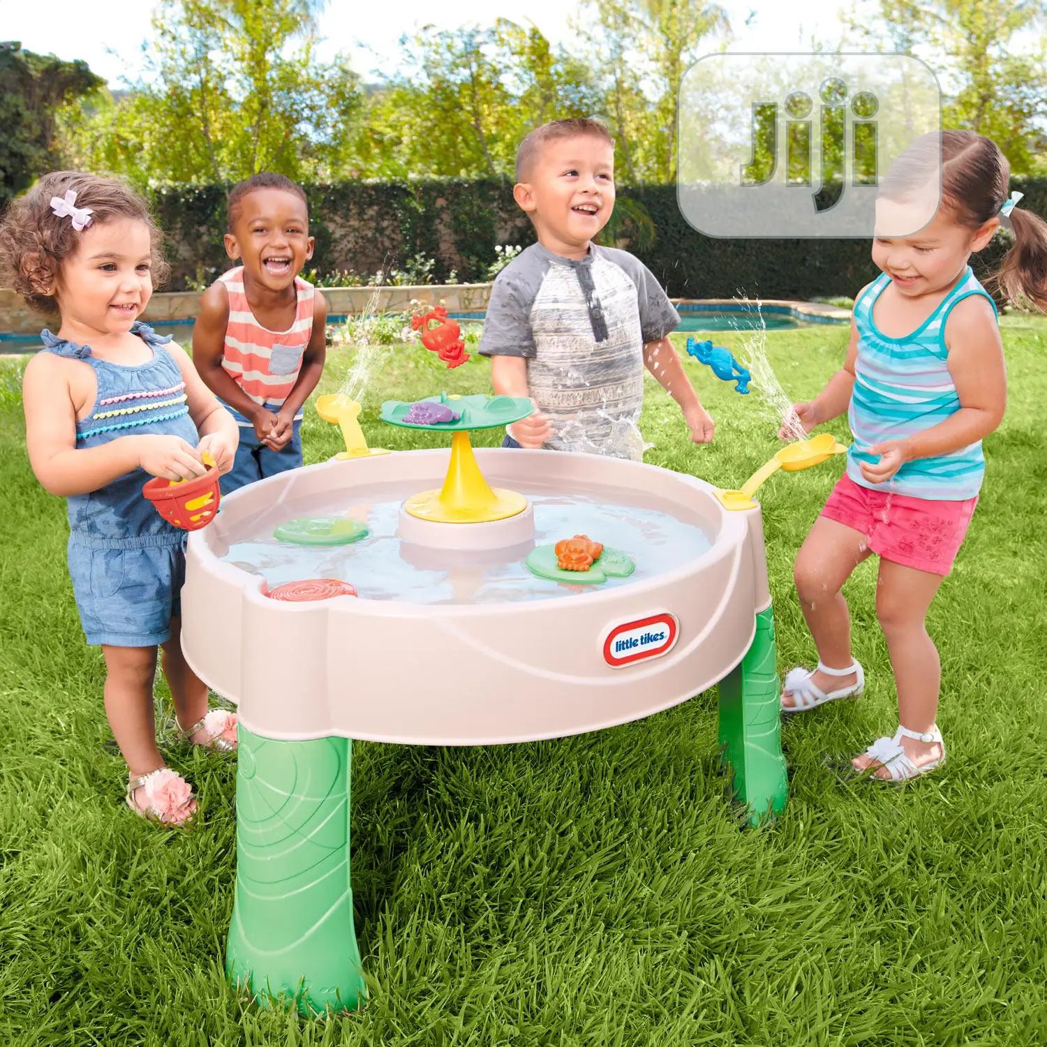 Frog Pond Water Table