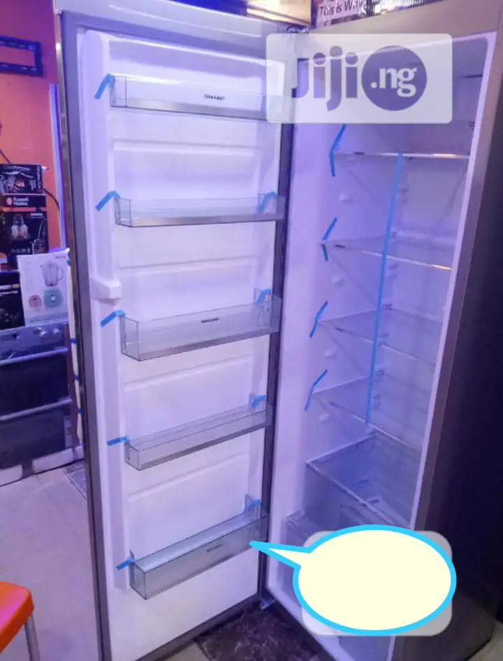 Standing Deep Freezer