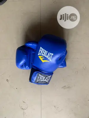 Blue Boxing Everlast Glove