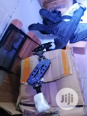 Steadycam With Vest