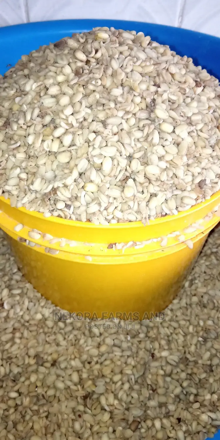 Dried Ukwa (Breadfruit)