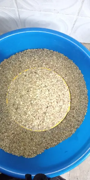 Dried Ukwa (Breadfruit)