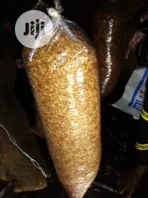 Best Oron Crayfish and Prawns From Akwa Ibom