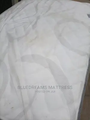 USA/Canadian Orthopedic Mattress